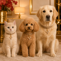 Maris · Halsbandanhänger mit Muschel, Seestern & Kunstperle für Hunde & Katzen