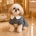 Colette · Größe M · schwarz-weißes Hahnentritt-Mantelkleid mit Brosche für Hunde